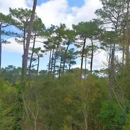 Réf 261 Le Penon, Patio De 42 M2 Claire Et Bien Aménagée, Au Calme Sous Les Pins, à 800 M De La Et 1000 M Des Commerces Villa